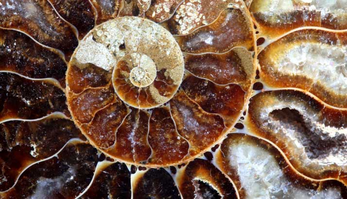 Lead image for article