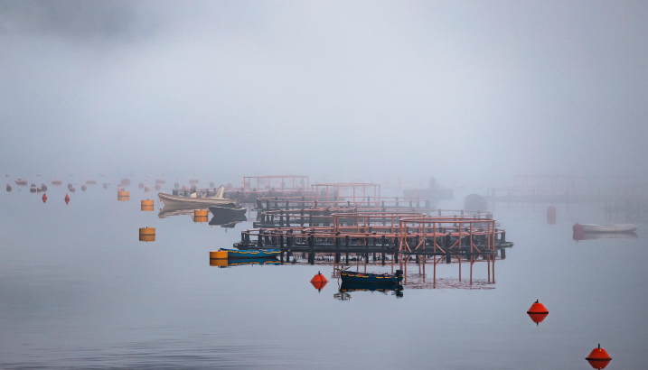 Lead image for article