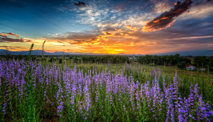 Lead image for article