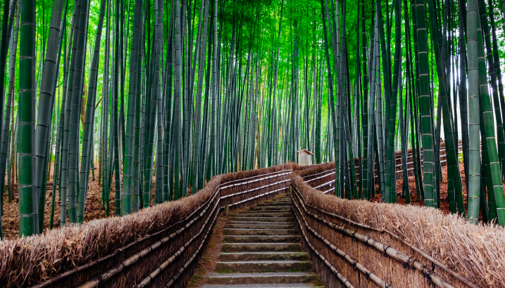 Featured article image