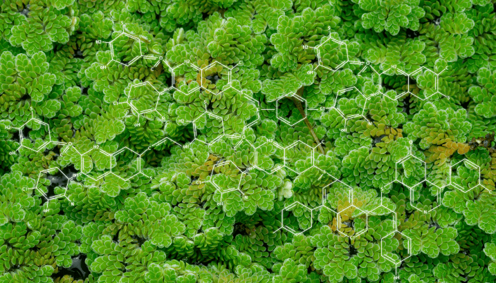 Lead image for article