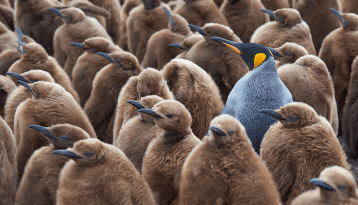 Lead image for article